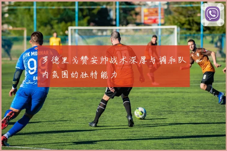罗德里戈赞安帅战术深厚与调和队内氛围的独特能力